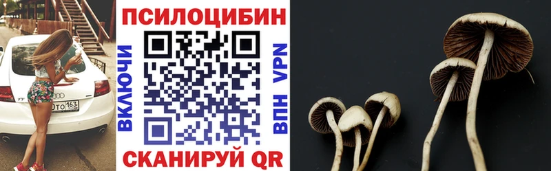 Псилоцибиновые грибы прущие грибы  наркота  Владикавказ 